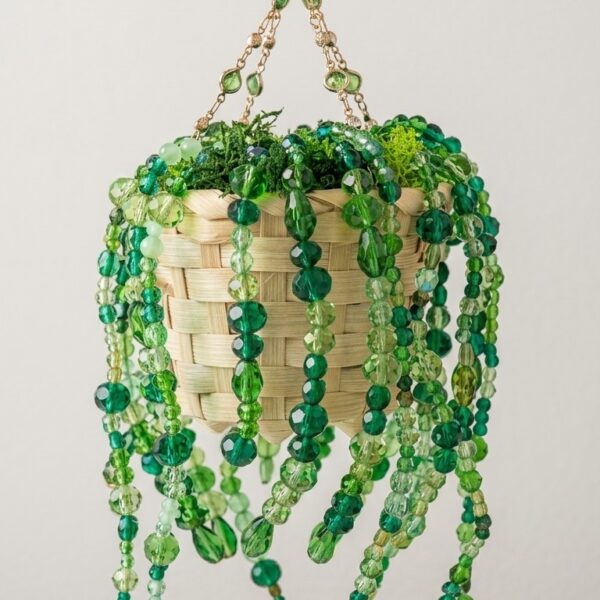 Plante en perles – Attrape-soleil