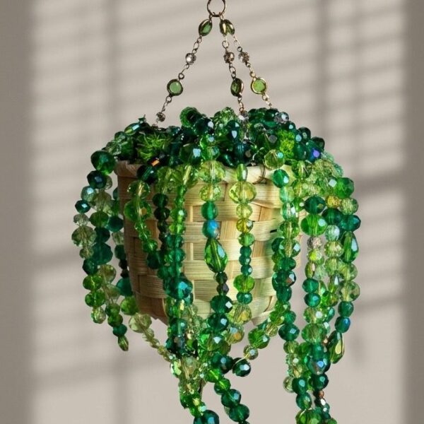 Plantes en perles